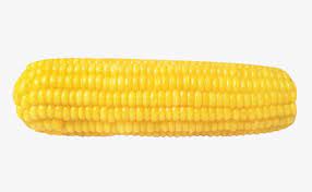 صور للخضروات ذرة بحث google corn vegetables