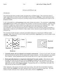 Egg osmosis lab lab directions and rubric. Osmosis Diffusion Lab 1 Osmosis Cell Membrane
