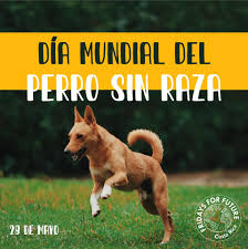 We did not find results for: 28 De Mayo Dia Mundial Del Fridaysforfuture Costa Rica Facebook