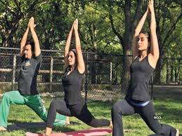 Yoga Yogalution Times Of India