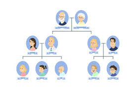 Ja wenn man sich eine eigene zucht aufbaut und dann mit dem gp über. Stammbaum Genealogie Konzept Vektor Illustration Wohnung Stil Grossmutter Grossvater Mutter Vater Eltern Kinder Alt Grau Grosseltern Junge Madchen Sohn Tochter Konzeptionelle Kreative Menschen Kollektion Lizenzfrei Nutzbare Vektorgrafiken Clip