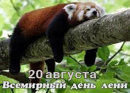 Вспышка лени серия 21 риск, побеждающий отчаяние серия 20 вильгельм ван астрея. K2suyz31keowhm