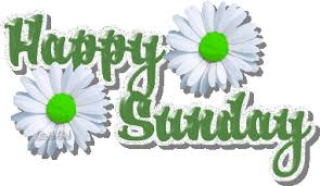 images?q=tbn:ANd9GcTtT3TNEvrVTZdDap0HDAls2-k0bsSCyBPKsDJvpC0o4mu1mEte