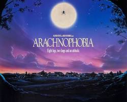 Bildmotiv: Arachnophobia