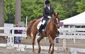 Age Is Just A Number How To Keep Riding Into Your 90s Horse Hound