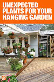 Pin On Outdoor Living