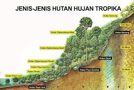 800 x 531 jpeg 37kb. Jenis Jenis Hutan Top Hill Outdoor Recreation Club Thor Facebook
