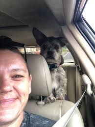 Crime! Zero personal space! No matter how hot out it is!