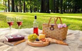 Happy Picnic Group
