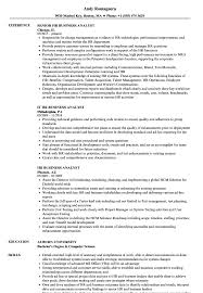 Duties, requirements, skills and responsibilities: Hr Business Analyst Resume Samples Velvet Jobs