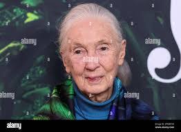 Jane Beller's Instagram, Twitter & Facebook