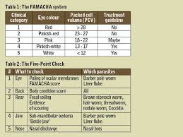 the famacha system farmers weekly