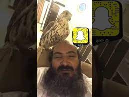 الاملح وحسين youtube