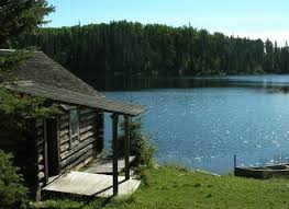 We open and close cottage water systems and install entirely new water systems for your 4evergreen ultimate intake filter system is ideal for jet pump or submersible pump stays in the lake year round. 10 Tried And True Methods For Building An Off Grid Water Pump System Cabins In The Woods Hunting Cabin Lake Cabins
