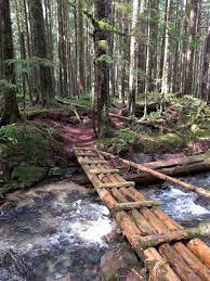 Beautiful British Columbia Backyard Bridges Backyard Landscaping Wooden Walkways