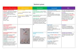Gcse Pe Revision Grids Edexcel Gcse Pe Gcse Body Systems