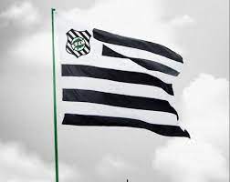 Avaí, brusque, criciúma, figueirense são os representantes de santa catarina na primeira fase. Bd6 Xlugkqhnkm