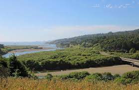 Gualala Point Regional Park Stock Image - Image of california, trail:  174261413
