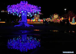 Hello Panda Lantern Festival Lights Up Nyc Holiday Season Global Times