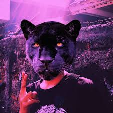 ∙ promo pengguna baru ∙ kurir instan ∙ bebas ongkir ∙ cicilan 0%. The Jaguar Paw Peoplepower Salamduajari