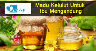 Madu kelulut memang banyak kelebihan serta khasiat khas untuk kesihatan. Khasiat Madu Tualang Untuk Ibu Mengandung