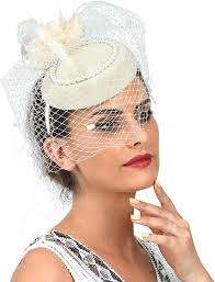 Women's Vintage Fascinator Hats 20s 50s Pillbox Hat Derby Feather  Fascinators Veil Mesh Tea Party Wedding Cocktail Headwear