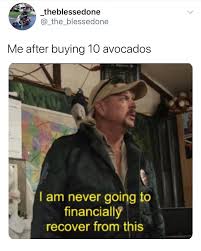 Joe Exotic 'I'm Never Going To Financially Recover From This' Memes That  Hit Home - Funny Gallery