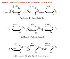 Fiber Chemical Structure Biological Activity Linus Pauling