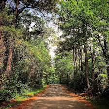 Pin On Pineywoods Paradise