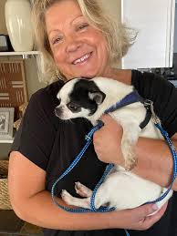 Congratulations Flash