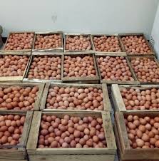Harga normal telur ayam kualitas grade a ada di kisaran rp 22.000 sampai. Agen Telor 77 Berkah Home Facebook
