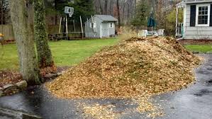 wood chips as mulch | My Pile
