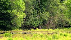 Die region ist noch ein echter geheimtipp. Die Top 10 Sehenswurdigkeiten In Lettland 2017 Urlaubshighlights Sehenswurdigkeiten Der Welt