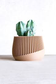 The clay trays often used for bonsai are very good for a start. Wood Cache Pot Wood Plant Pot Succulent Plant Stand Succulent Desk Planter Wood Air Plant Holder Wooden Vase Pot Designs Air Plant Holder Succulent Pots