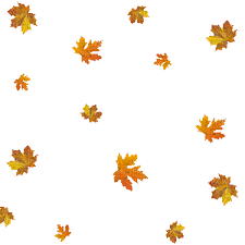 Search, discover and share your favorite falling leaves gifs. Pin By Marija Mironna K On Autumn Heart Background Beautiful Photography Nature Animated Gif