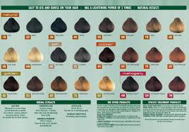 Kemon Hair Color Chart Sbiroregon Org