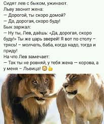 ну что ж ты страшная такая ты такая страшная Pin Ot Polzovatelya Elena Ovcharenko Na Doske 1 Umno Zhiznennye Pogovorki Yumornye Citaty Mudrye Citaty