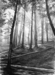 Black And White Pencil Drawings Of Trees Dark Forest Original Drawing By Katarzyna Kmiecik Pencil Sketch Original Landscape Pine Tr Pine Tree Drawing Tree Drawings Pencil Realistic Pencil Drawings