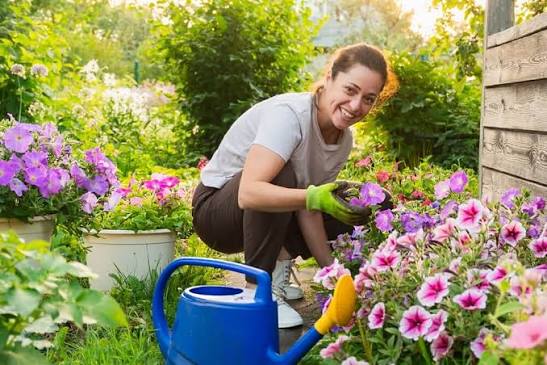 How to Propagate Plants From Cuttings and Save Money on New Plants