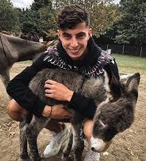 In the second edition of our new interview series speaking to the chelsea players about their interests away from the pitch, kai havertz talks animals and gaming…. If You Need Something To Brighten Up Bayer 04 Leverkusen Facebook