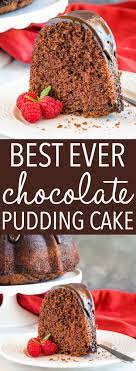 Best Ever Chocolate Pudding Cake Recipe Chocolate Pudding Cake Pudding Cake Cake Recipes
