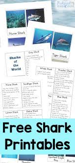 Please, try to prove me wrong i dare you. Shark Information For Kids Free Shark Printables Natural Beach Living