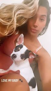 My name is:Freya My breed is: Chihuahua My age is: 8 months old My nickname  is : crazy girl My favorite food is: Chicken My favorite human: Mom dad  asia My biggest