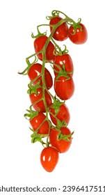 Image result for tomato Piccadilly