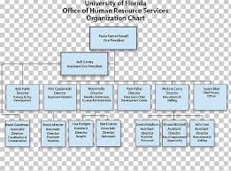 organizational chart organizational structure human resource