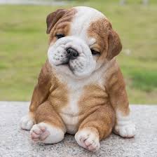 Rely on our experts to advise you on the best heating and cooling options that fit your lifestyle and budget. Hi Line Gift Ltd Sitting Sleepy Bulldog Puppy Statue Reviews Wayfair
