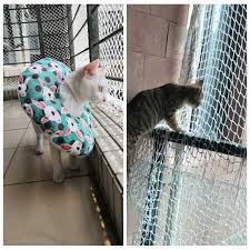 1 M Cocuk Guvenlik Agi Ev Pet Kopek Pelus Kedi Balkon Korkulugu Merdiven Cit Cocuk Oyun Alani Korkuluk Cocuk Guvenlik Agi Bitki Ortuleri Aliexpress