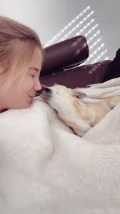 Wait for it 🥺 #dog #foryou #fyp #cute