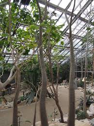 Der botanische garten ist übrigens nicht nur im sommer ein highlight. Okologisch Botanischer Garten Bayreuth 2020 All You Need To Know Before You Go With Photos Tripadvisor