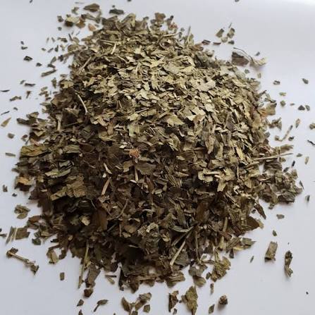 Dried Ginko Biloba